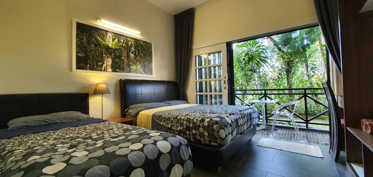 Gerard'S "Backpackers" Roomstay No Children Adults Only Κάμερον Χάιλαντς Εξωτερικό φωτογραφία