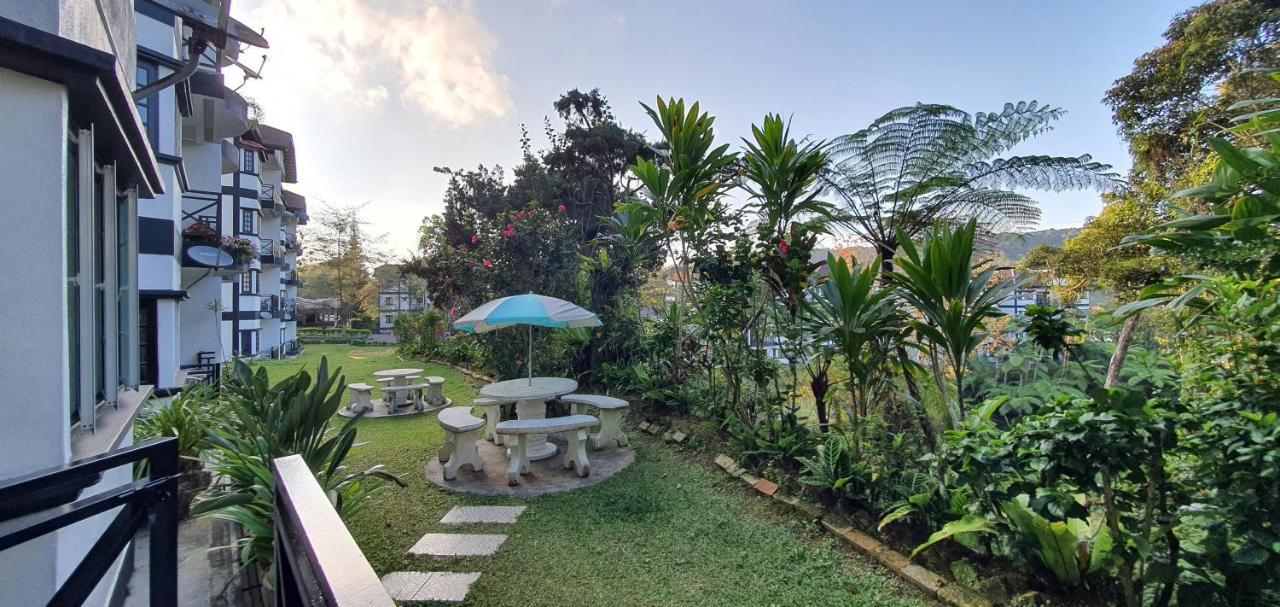 Gerard'S "Backpackers" Roomstay No Children Adults Only Κάμερον Χάιλαντς Εξωτερικό φωτογραφία